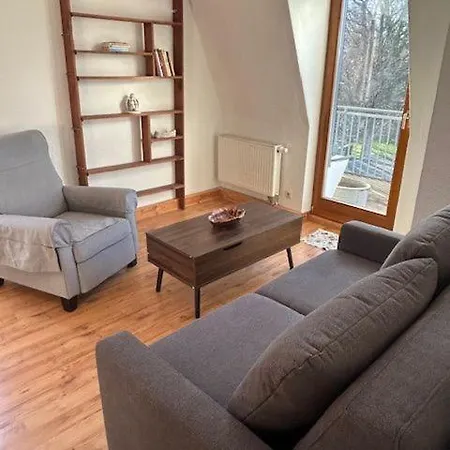 Nr 320 Ii Stock Birkenwaeldchen *